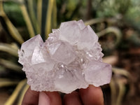 Natural Amethyst Spirit Quartz Clusters x 12 From Boekenhouthoek, South Africa - Toprock Gemstones and Minerals 