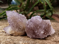 Natural Amethyst Spirit Quartz Clusters x 12 From Boekenhouthoek, South Africa - Toprock Gemstones and Minerals 