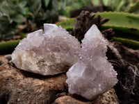Natural Amethyst Spirit Quartz Clusters x 12 From Boekenhouthoek, South Africa - Toprock Gemstones and Minerals 
