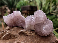 Natural Amethyst Spirit Quartz Clusters x 12 From Boekenhouthoek, South Africa - Toprock Gemstones and Minerals 