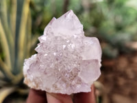 Natural Amethyst Spirit Quartz Clusters x 12 From Boekenhouthoek, South Africa - Toprock Gemstones and Minerals 