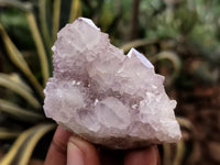 Natural Amethyst Spirit Quartz Clusters x 12 From Boekenhouthoek, South Africa - Toprock Gemstones and Minerals 