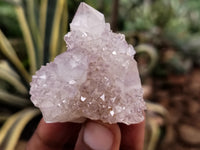 Natural Amethyst Spirit Quartz Clusters x 12 From Boekenhouthoek, South Africa - Toprock Gemstones and Minerals 