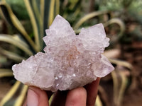 Natural Amethyst Spirit Quartz Clusters x 12 From Boekenhouthoek, South Africa - Toprock Gemstones and Minerals 