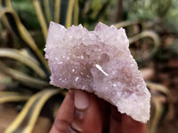 Natural Amethyst Spirit Quartz Clusters x 12 From Boekenhouthoek, South Africa - Toprock Gemstones and Minerals 