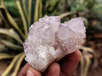 Natural Amethyst Spirit Quartz Clusters x 12 From Boekenhouthoek, South Africa - Toprock Gemstones and Minerals 