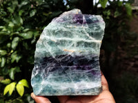 Polished On One Side Watermelon Fluorite Specimens x 2 From Uis, Namibia