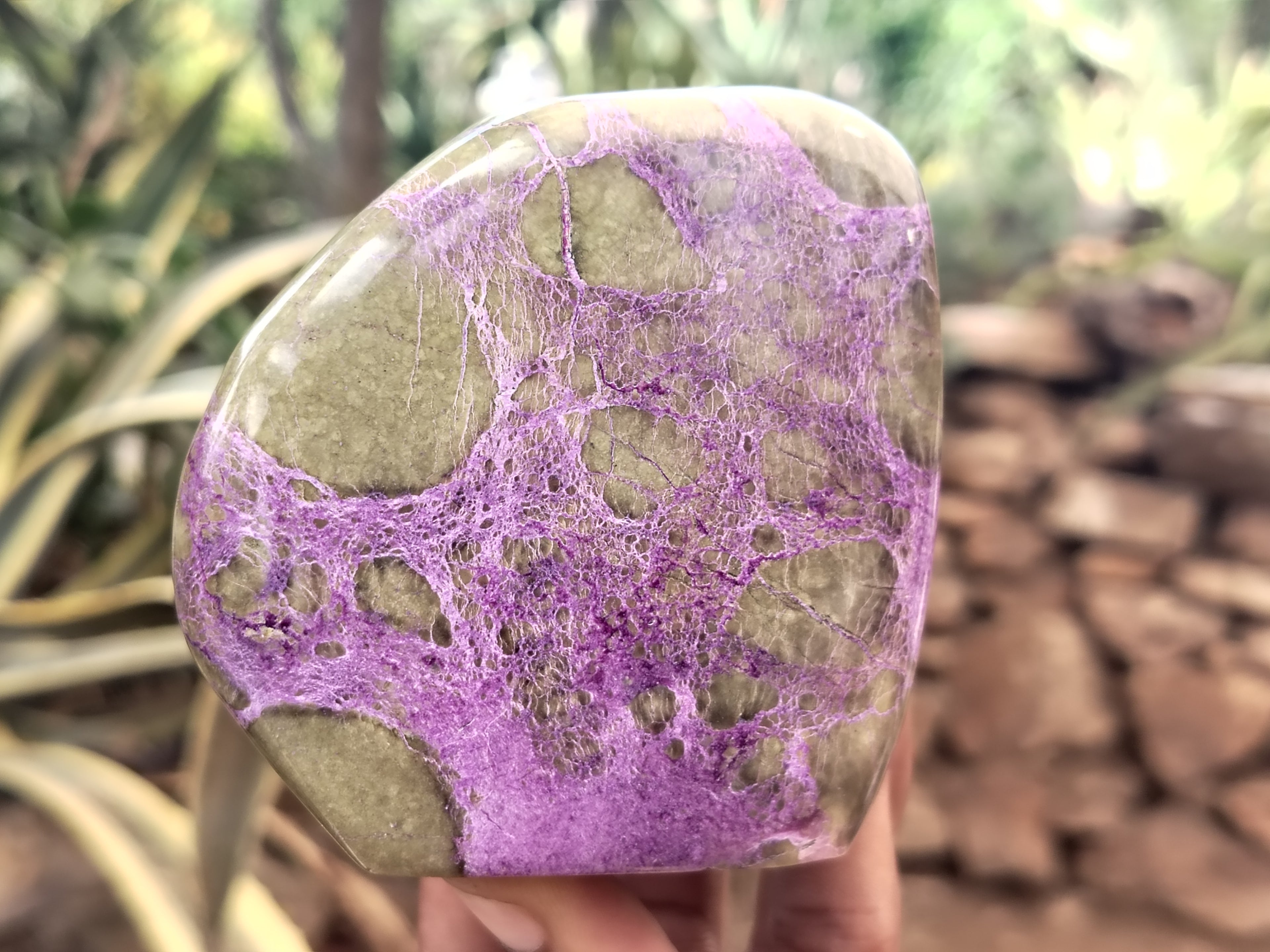 Polished Stichtite Standing Free Forms x 3 From Barberton, South Africa - Toprock Gemstones and Minerals 