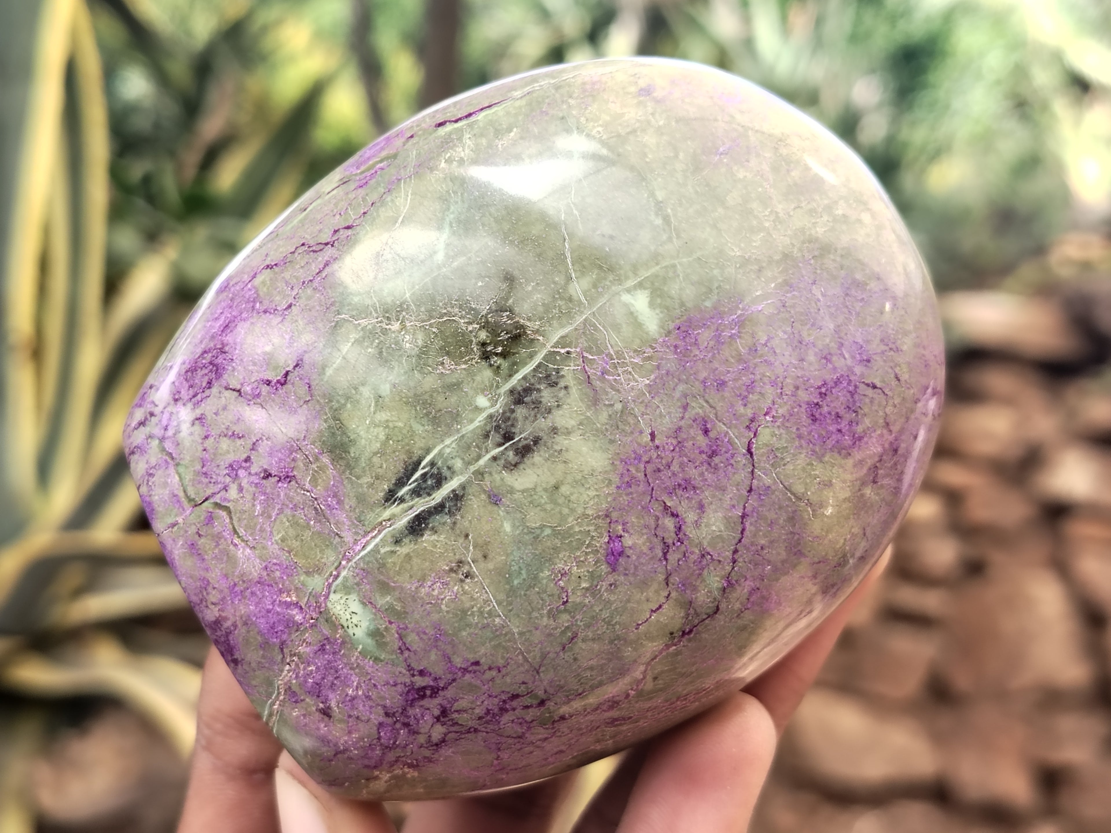 Polished Stichtite Standing Free Forms x 3 From Barberton, South Africa - Toprock Gemstones and Minerals 