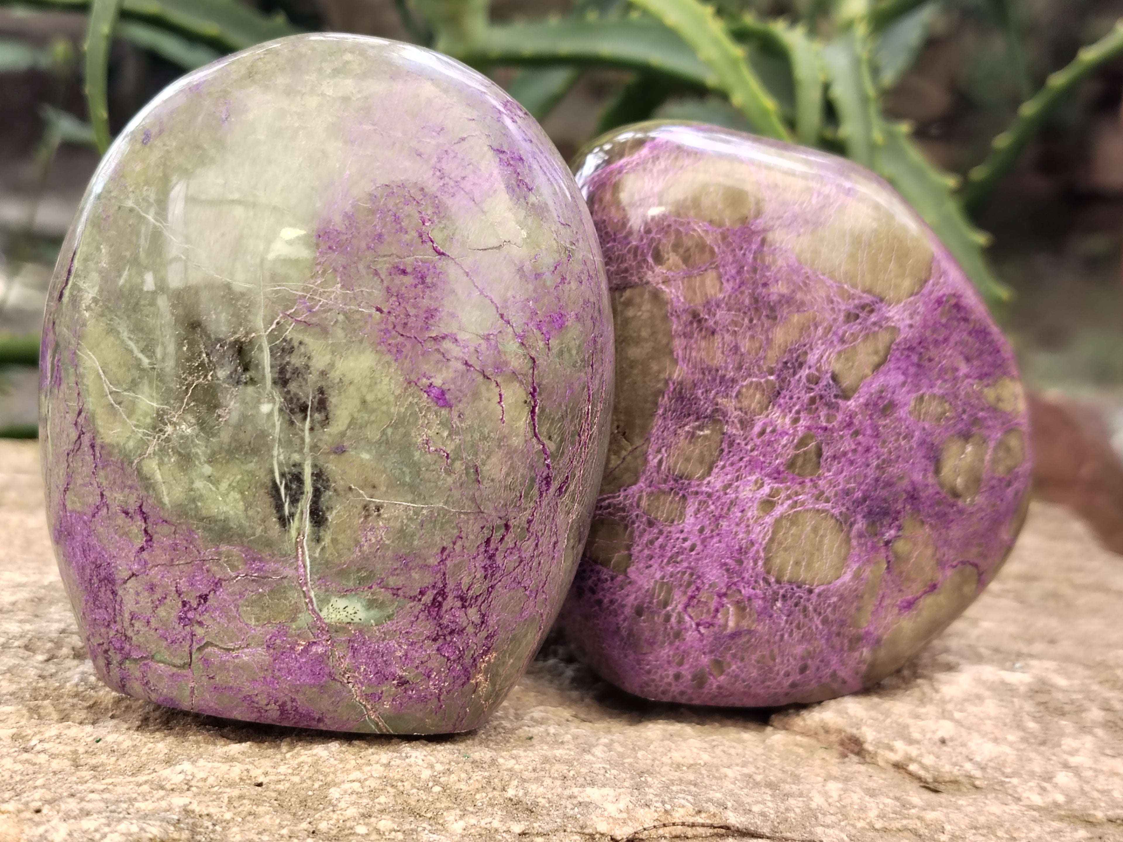Polished Stichtite Standing Free Forms x 3 From Barberton, South Africa - Toprock Gemstones and Minerals 
