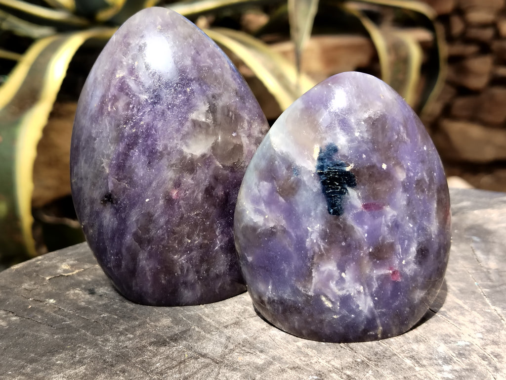 Polished Lepidolite with Pink Rubellite Tourmaline Standing Free Forms x 4 From Madagascar - Toprock Gemstones and Minerals 
