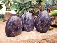 Polished Lepidolite with Pink Rubellite Tourmaline Standing Free Forms x 4 From Madagascar
