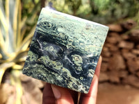 Polished Stromatolite Jasper Cubes x 4 From Madagascar