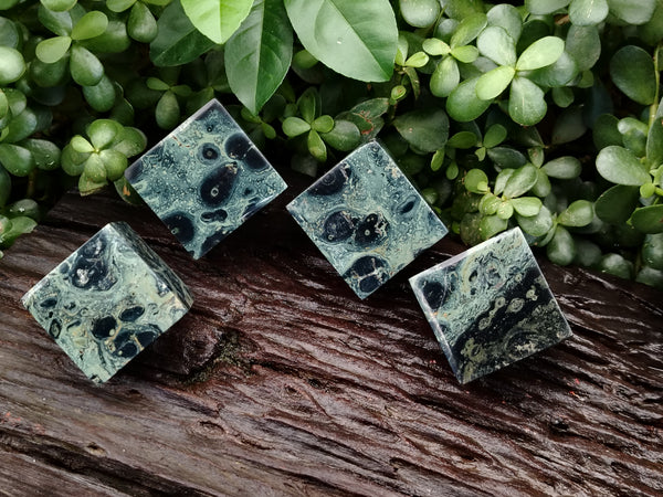 Polished Stromatolite Jasper Cubes x 4 From Madagascar