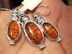 Polished Baltic Amber Earring and Pendant Sets on Sterling Silver - Sold Per Set - From Poland - Toprock Gemstones and Minerals 
