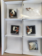 Polished Baltic Amber Earring and Pendant Sets on Sterling Silver - Sold Per Set - From Poland - Toprock Gemstones and Minerals 