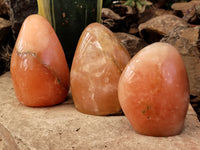 Polished Orange Twist Calcite Standing Free Forms x 3 From Madagascar