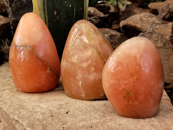 Polished Orange Twist Calcite Standing Free Forms x 3 From Madagascar