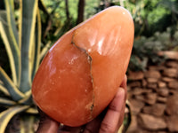 Polished Orange Twist Calcite Standing Free Forms x 3 From Madagascar