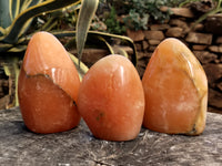 Polished Orange Twist Calcite Standing Free Forms x 3 From Madagascar