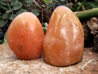 Polished Orange Twist Calcite Standing Free Forms x 3 From Madagascar