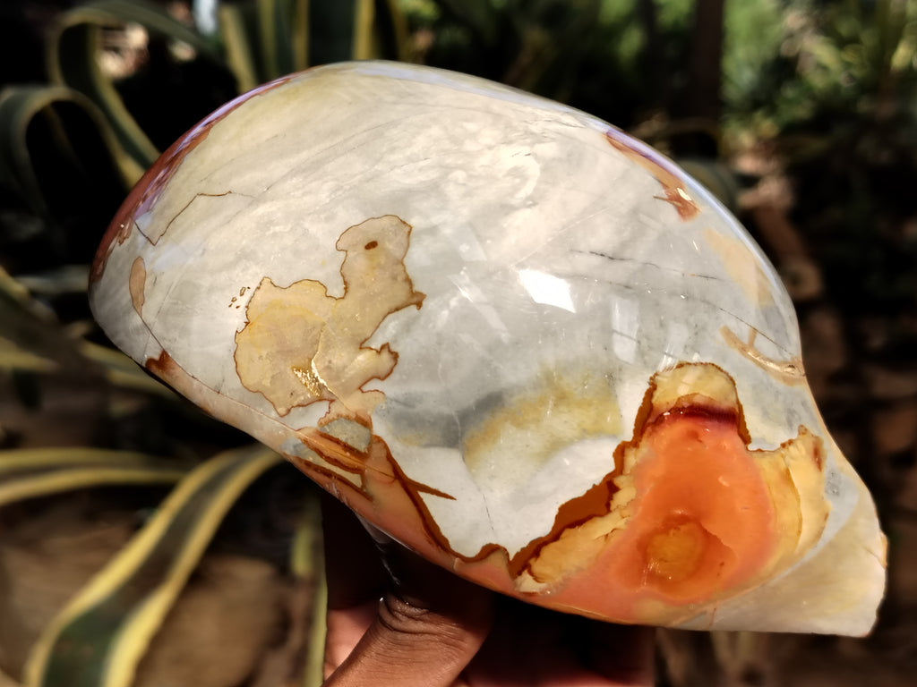 Polished On One Side Polychrome Jasper Nodules x 2 From Mahajanga, Madagascar - Toprock Gemstones and Minerals 