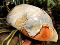 Polished On One Side Polychrome Jasper Nodules x 2 From Mahajanga, Madagascar