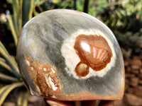 Polished On One Side Polychrome Jasper Nodules x 2 From Mahajanga, Madagascar