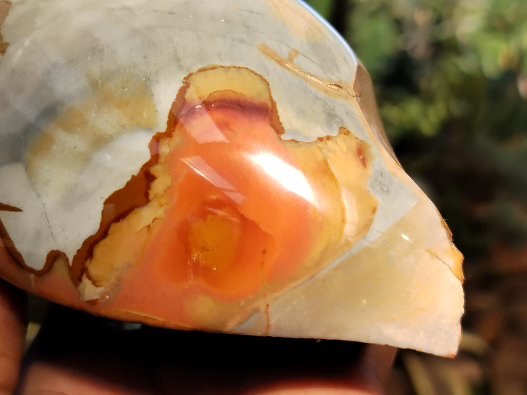 Polished On One Side Polychrome Jasper Nodules x 2 From Mahajanga, Madagascar - Toprock Gemstones and Minerals 