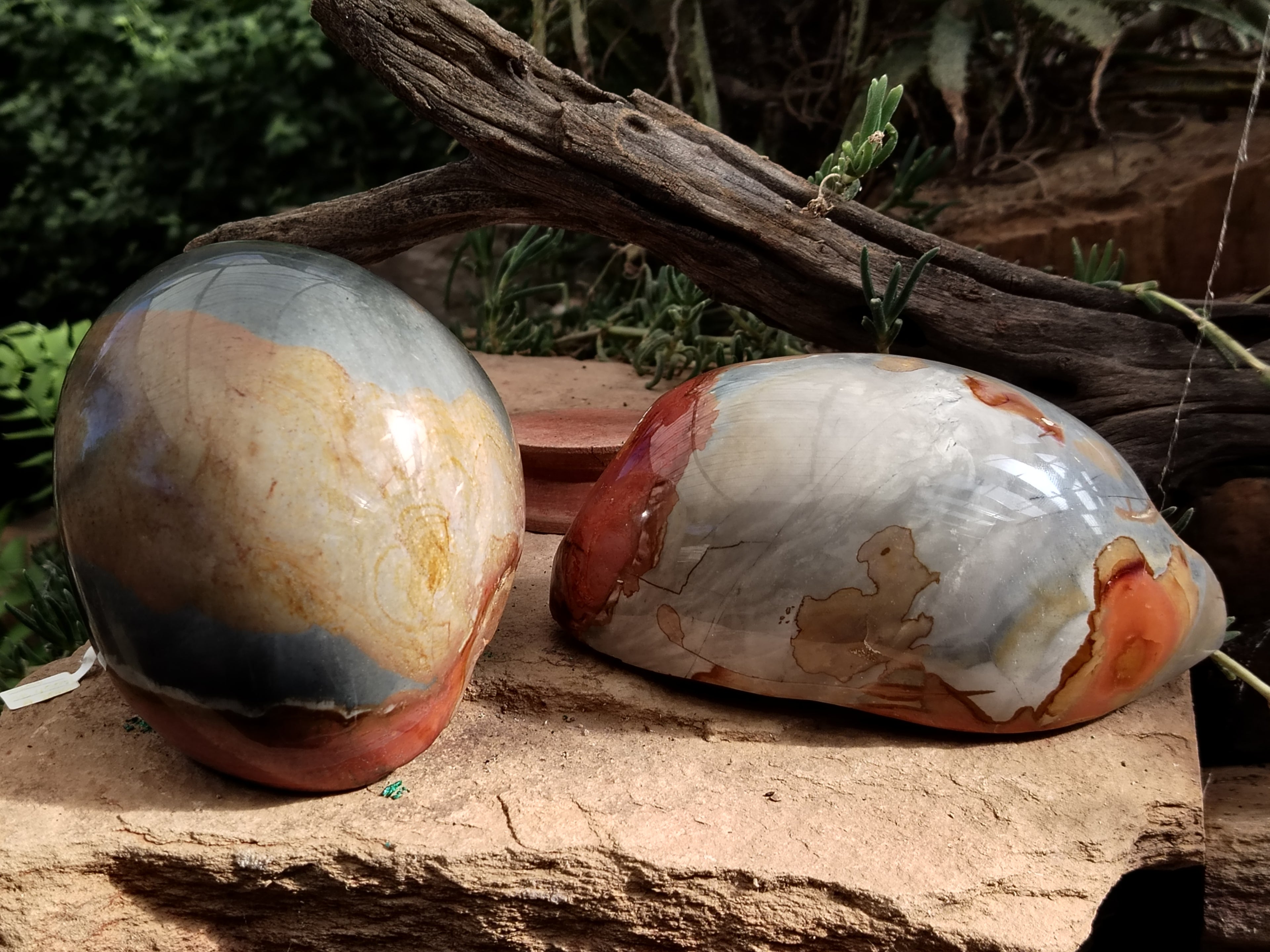 Polished On One Side Polychrome Jasper Nodules x 2 From Mahajanga, Madagascar - Toprock Gemstones and Minerals 