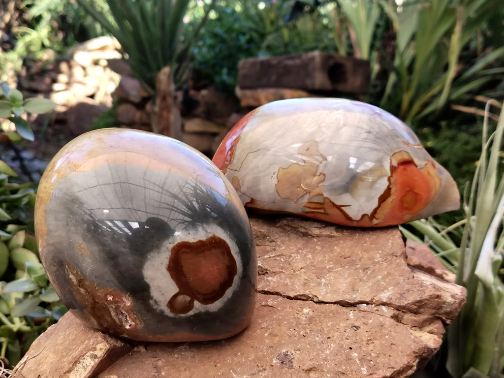 Polished On One Side Polychrome Jasper Nodules x 2 From Mahajanga, Madagascar - Toprock Gemstones and Minerals 