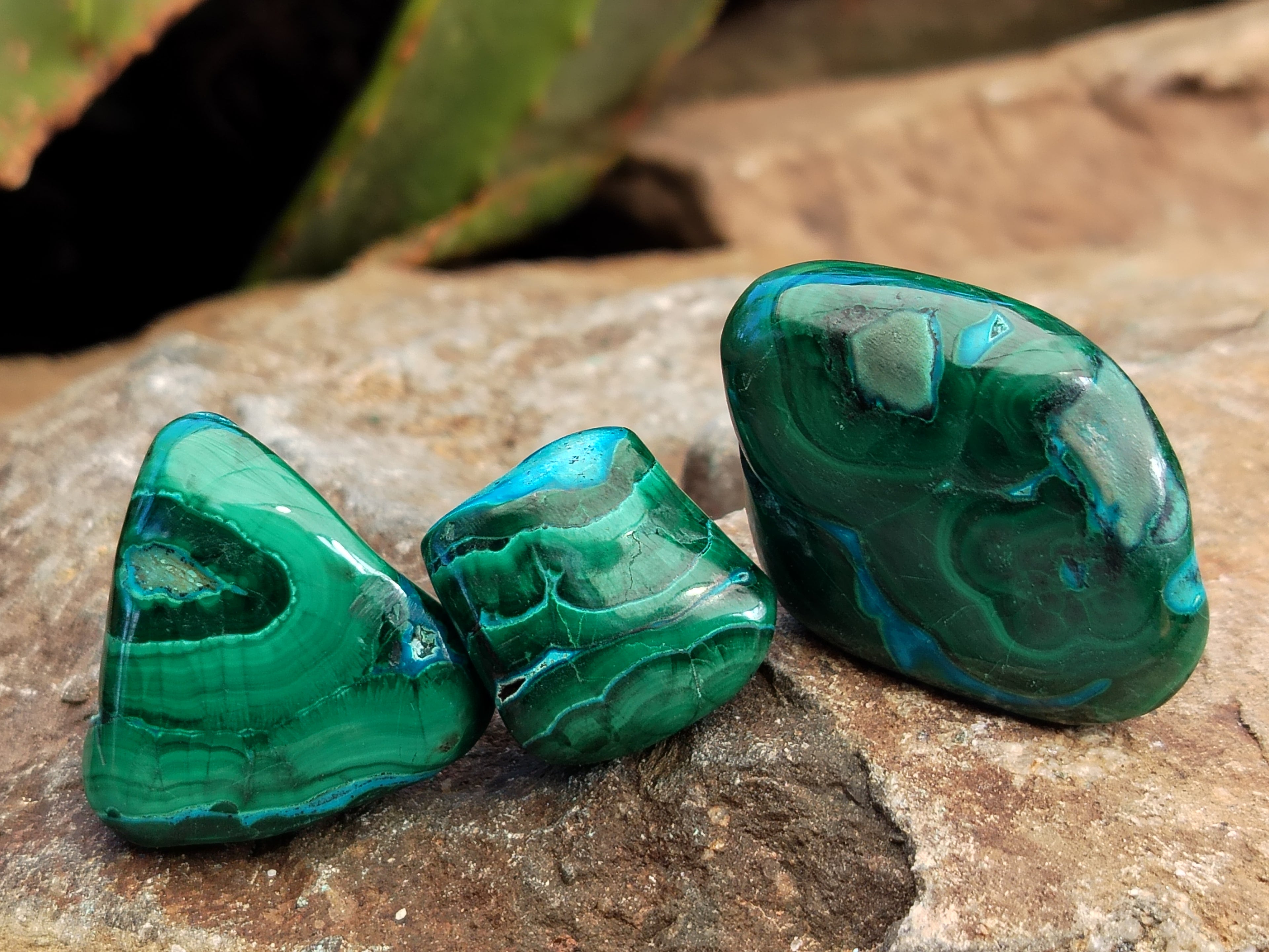 Polished Malacolla Free Forms - Sold per 250 Gram Bag - From Kalukundi Mine, Congo - Toprock Gemstones and Minerals 