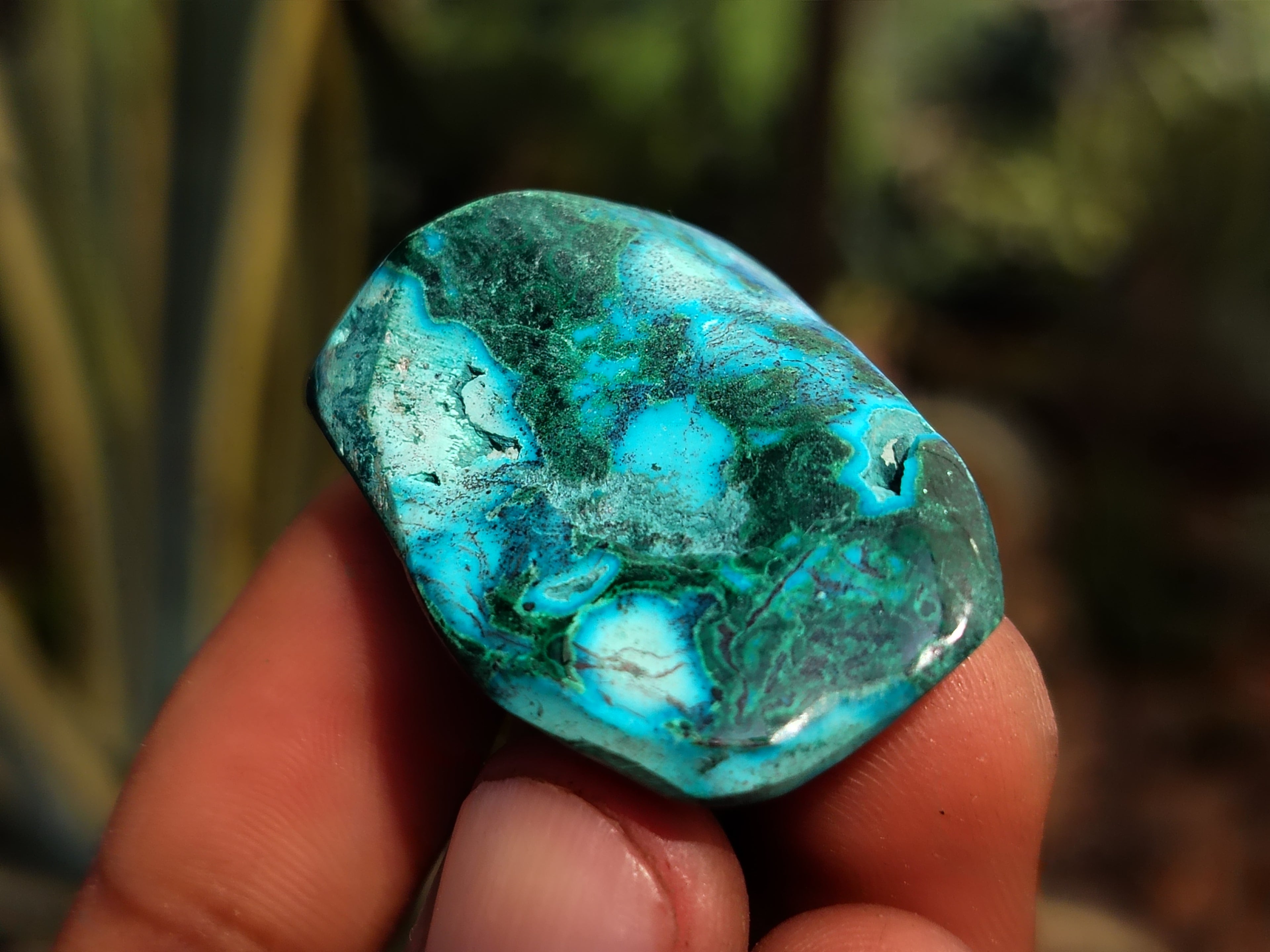 Polished Malacolla Free Forms - Sold per 250 Gram Bag - From Kalukundi Mine, Congo - Toprock Gemstones and Minerals 