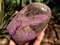 Polished Stichtite Standing Free Forms x 2 From Barberton, South Africa - Toprock Gemstones and Minerals 