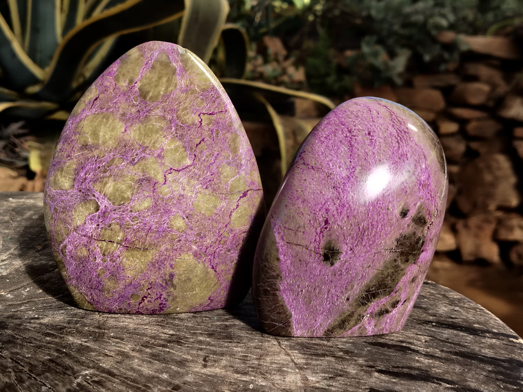Polished Stichtite Standing Free Forms x 2 From Barberton, South Africa - Toprock Gemstones and Minerals 