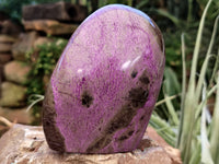 Polished Stichtite Standing Free Forms x 2 From Barberton, South Africa - Toprock Gemstones and Minerals 