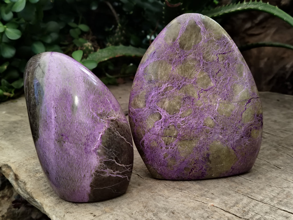Polished Stichtite Standing Free Forms x 2 From Barberton, South Africa - Toprock Gemstones and Minerals 