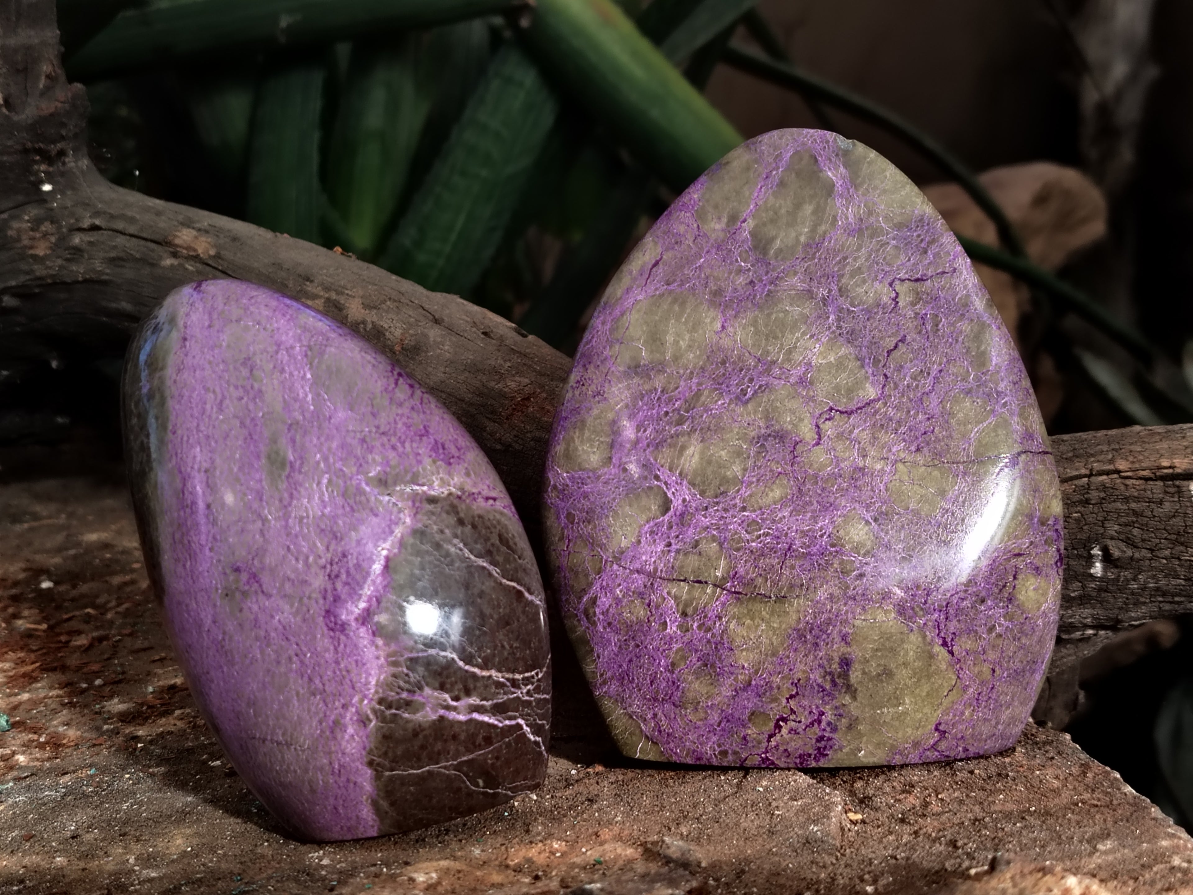 Polished Stichtite Standing Free Forms x 2 From Barberton, South Africa - Toprock Gemstones and Minerals 