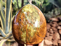Polished Green Opal Standing Free Forms x 2 From Antsirabe, Madagascar