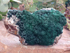 Natural Botryoidal Malachite Specimen x 1 From Mindingi Mine, Congo - Toprock Gemstones and Minerals 