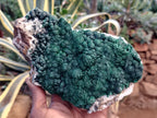 Natural Botryoidal Malachite Specimen x 1 From Mindingi Mine, Congo - Toprock Gemstones and Minerals 