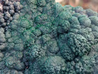 Natural Botryoidal Malachite Specimen x 1 From Mindingi Mine, Congo - Toprock Gemstones and Minerals 