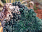 Natural Botryoidal Malachite Specimen x 1 From Mindingi Mine, Congo - Toprock Gemstones and Minerals 