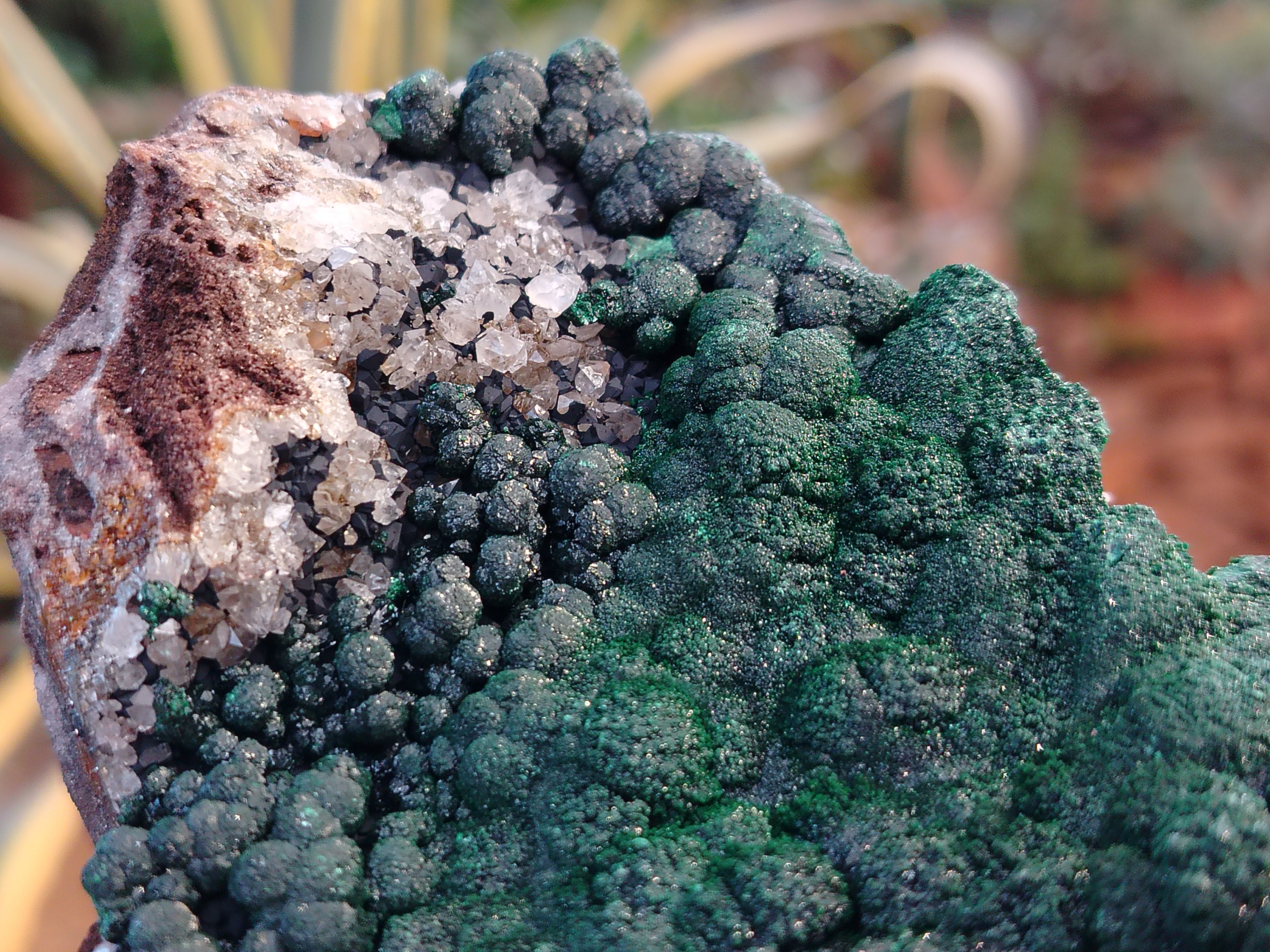 Natural Botryoidal Malachite Specimen x 1 From Mindingi Mine, Congo - Toprock Gemstones and Minerals 
