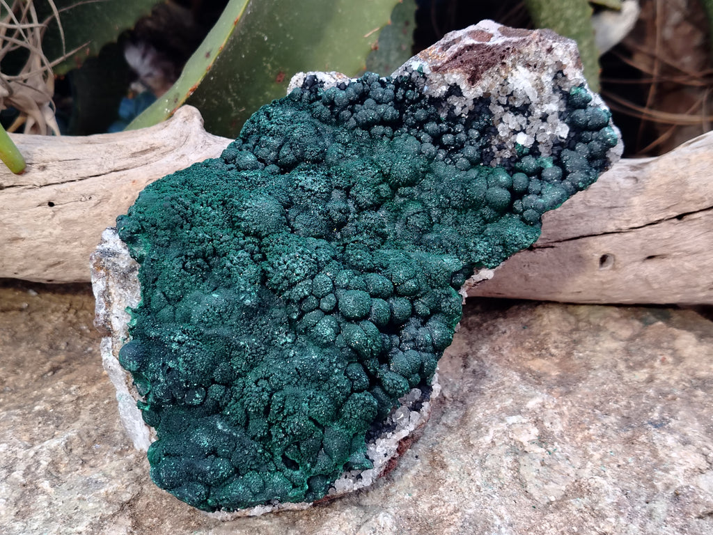 Natural Botryoidal Malachite Specimen x 1 From Mindingi Mine, Congo - Toprock Gemstones and Minerals 