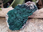 Natural Botryoidal Malachite Specimen x 1 From Mindingi Mine, Congo - Toprock Gemstones and Minerals 