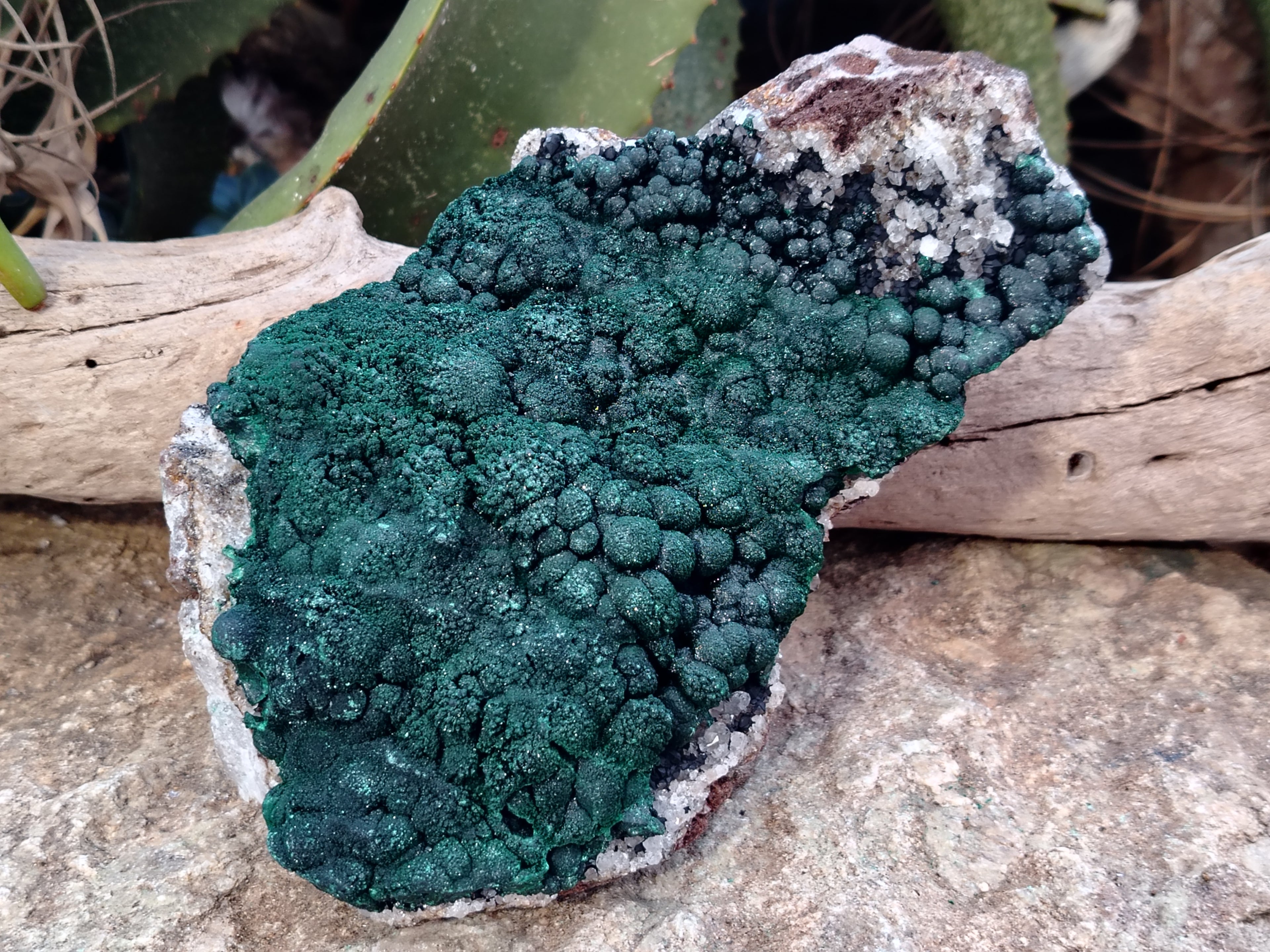 Natural Botryoidal Malachite Specimen x 1 From Mindingi Mine, Congo - Toprock Gemstones and Minerals 