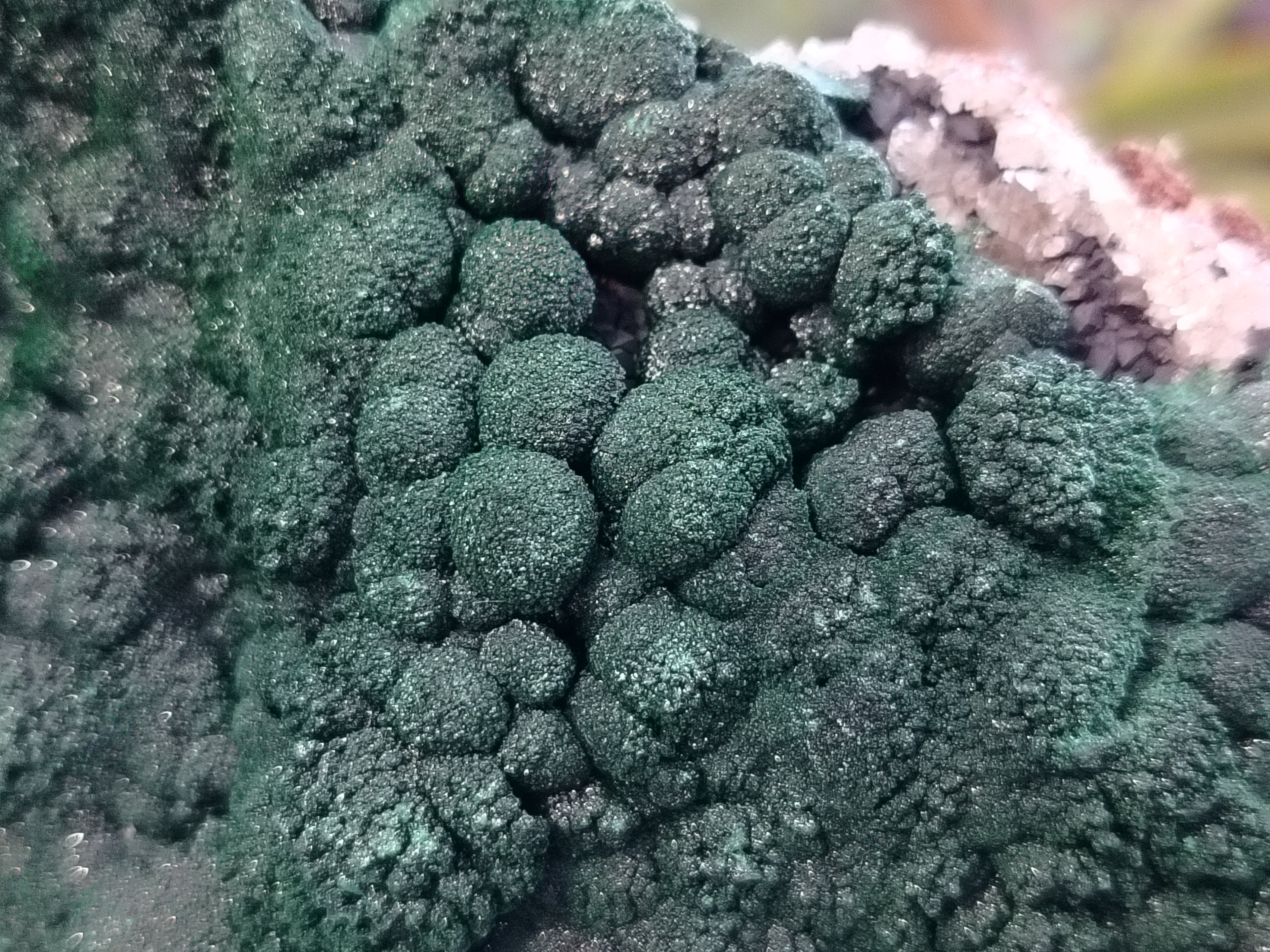 Natural Botryoidal Malachite Specimen x 1 From Mindingi Mine, Congo - Toprock Gemstones and Minerals 