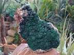 Natural Botryoidal Malachite Specimen x 1 From Mindingi Mine, Congo - Toprock Gemstones and Minerals 