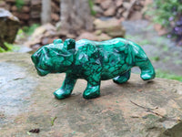 Polished Flower Banded Malachite Lions x 2 From Congo